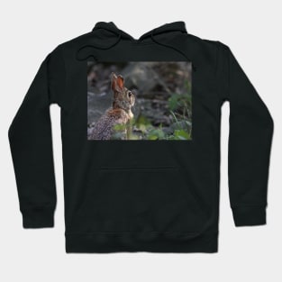 What may come of the day - Rabbit Hoodie